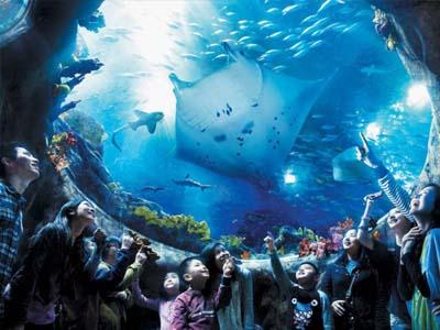 Yuk Berkunjung ke Aqua City, Taman Hiburan Terbesar Di Hongkong!